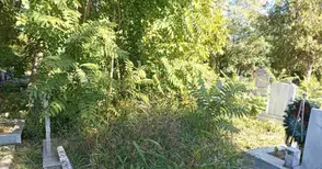 Готвят промени в наредбата за гробищата заради сегашните непроходими джунгли