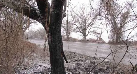 Огненият ковчег от Обретеник летял със 150 км/ч в мъглата