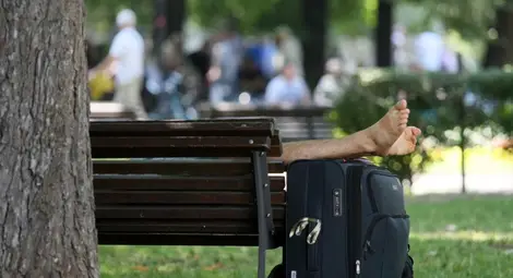 Световен ден на мързела се отбелязва от столетие на 10 август