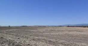 Безснежната зима  тревожи фермерите