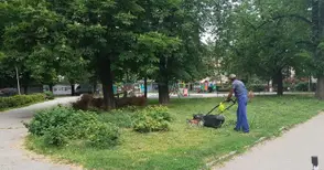 Отхвърлиха жалба по поръчката за поддържане на озеленените площи