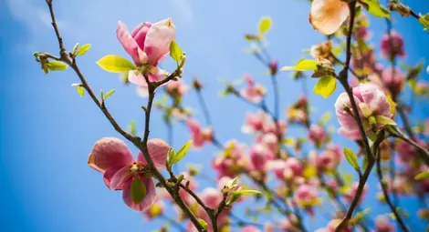 Утре вятърът стихва, ще се затопли