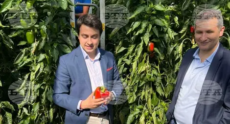 Снимка: БТА