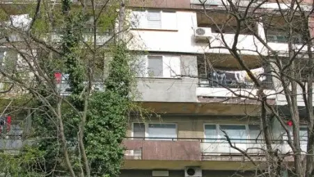 Общините започват лов за многодомци