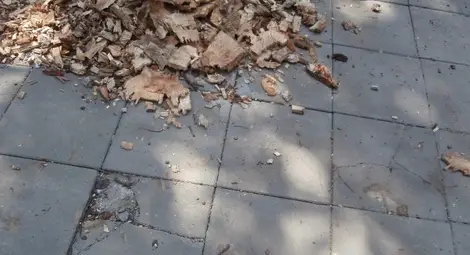 Чисто нови тротоарни плочки вече са спукани и натрошени
