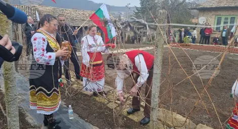 Снимка: БТА