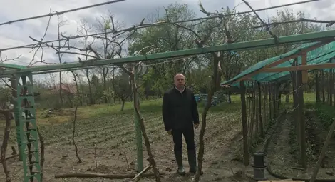 Пострадалите от градушките ще получат обезщетение