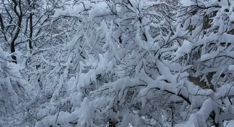 Тежка зимна обстановка в страната - ОБОБЩЕНИЕ