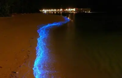 Сияйни пясъчни ивици се образуват на Малдивите /галерия/