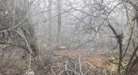 Бракониери втори месец секат на поразия около Петролна база