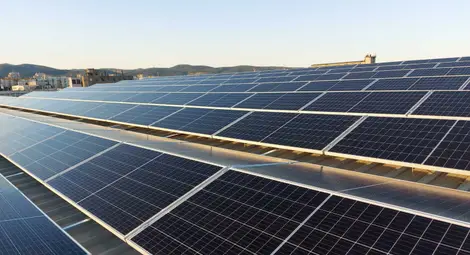 Снимката е илюстративна. Източник: solaritybg.com