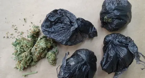 Снимка: ОДМВР-Русе