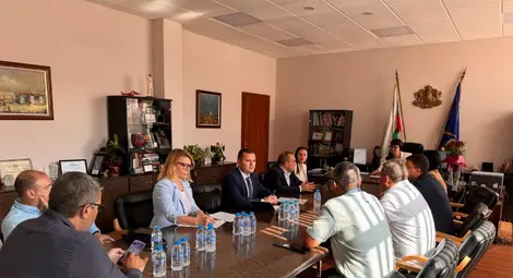 Държавата поема ангажимент за навременно ларвицидно третиране на комарите в Русе и крайдунавските общини през 2025 г.