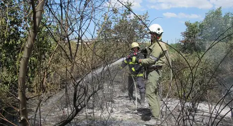 Куп незаконни сметища изникнаха сред голям пожар в Пухлево дере