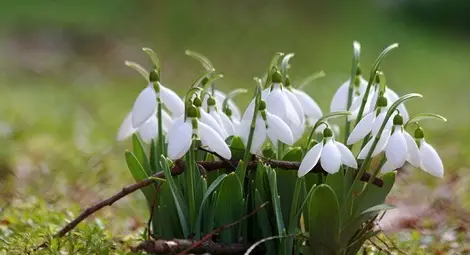 Слънчево, с максимални температури между 3° и 8° Слънчево, с максимални температури между 3° и 8°
