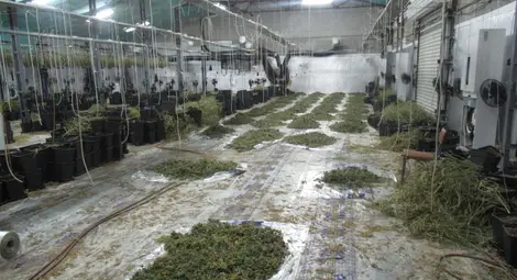 30 години затвор за наркогрупата от непроходилия завод за каравани в Новград