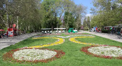 Готова е новата цветна премяна на Вазата в Русе /галерия/