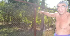 Цигани плячкосват вили на Левента