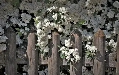 През април ще има от минус 2 до плюс 28 градуса