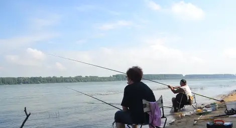 Забраниха за следващите три години  риболова в осем участъка по Дунав