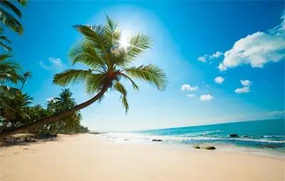 Туроператор фалира, остави 300 без екскурзия в чужбина Туроператор фалира, остави 300 без екскурзия в чужбина