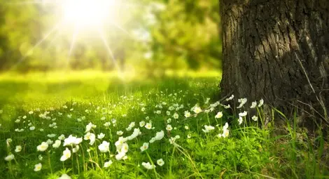 Ще се радваме на слънце и днес, максимални температури до 29&deg;