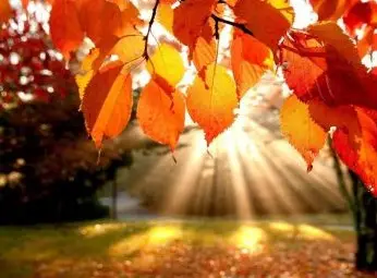 Утре валежите спират, температурите до 13° Утре валежите спират, температурите до 13°