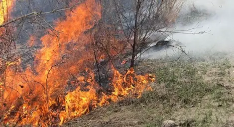 Дванадесет области в страната застрашени от пожари