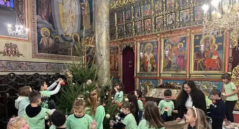 Елха за Рождество Христово Елха за Рождество Христово