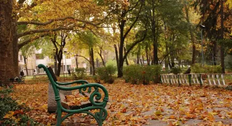 Живакът стига 24 градуса през почивните дни Живакът стига 24 градуса през почивните дни