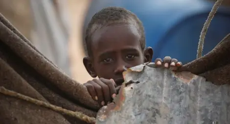 Шест милиона сомалийци са застрашени от глад