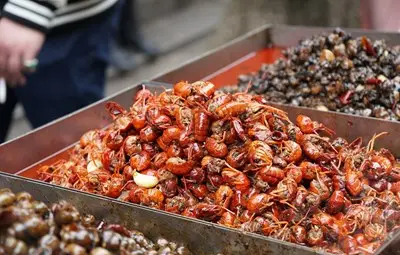 Ухан забрани търговията и консумацията на диви животни Ухан забрани търговията и консумацията на диви животни