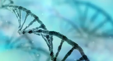 Кафето и физическите упражнения променят ДНК по еднакъв начин