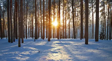 Минус 28 градуса в Севлиево, студ сковава цяла България