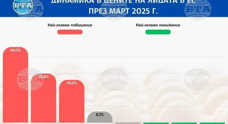 Снимка: БТА Снимка: БТА