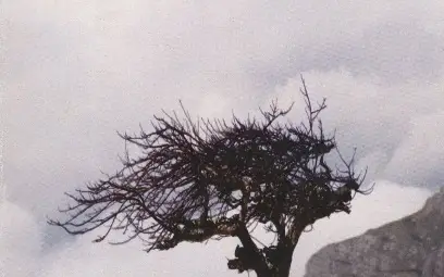 Сборникът &bdquo;Горчиви спомени&ldquo; представя началото на миналия век през погледа на двама българи