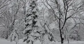 Зимата се кротна, но студът става сибирски