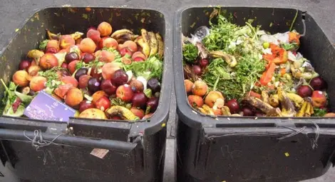 На всеки българин се падат по близо 100 кг изхвърлена храна всяка година