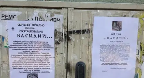 Почетоха с некролог 40 дни от смъртта на котарак