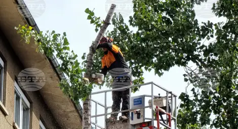 Снимка: БТА