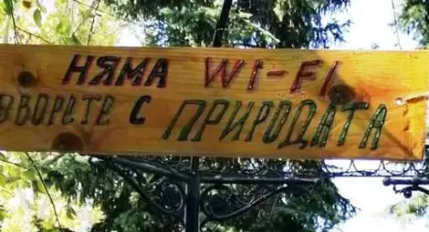 „Дунавско сияние“ кани малки русенски художници на пленер „Арт скаути „Дунавско сияние“ кани малки русенски художници на пленер „Арт скаути