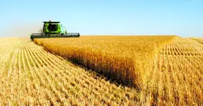 Обработваемата земя нарасна с 2 милиона декара за 5 години