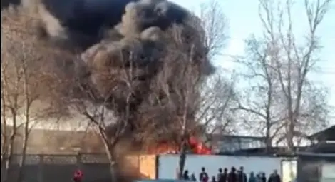 Тийнейджър постави рекорд: На 16 години има 39 престъпления