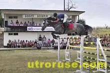 Конни състезания по случай празника на Община Цар Калоян 