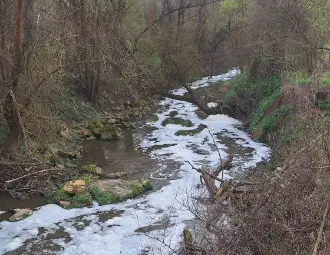 Иван Белчев с три въпроса към екоминистъра за замърсяването на река Черни Лом и опазването на Природен парк &bdquo;Русенски Лом&ldquo;