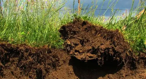 До 1 април се подават заявления за агроекологични плащания До 1 април се подават заявления за агроекологични плащания