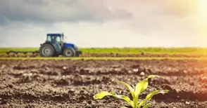 35 милиона лева влизат в сметките  на близо 2000 русенските земеделци