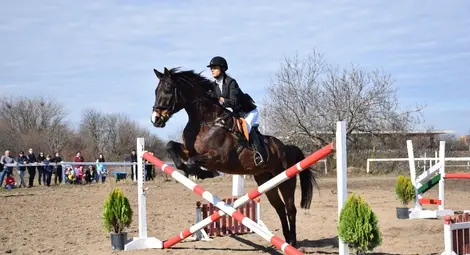 Стотици русенци проследиха с интерес атрактивните демонстрации на хиподрума.