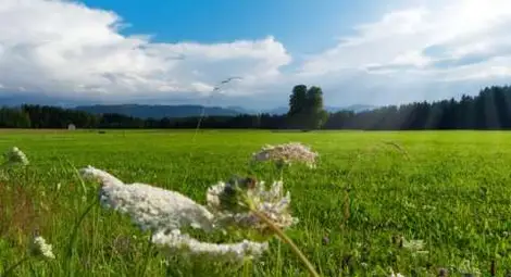 Прогноза за времето в неделя - прониква по-хладен въздух