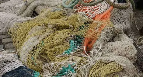 Бракониери преградили с 4 мрежи брега край Бръшлен